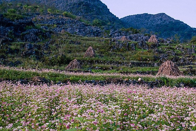 Sản phẩm du lịch yếu tố quyết định thu hút du khách Tạp chí du lịch #7 Sản phẩm du lịch yếu tố quyết định thu hút du khách Tạp chí du lịch